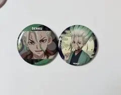 匿名配送】Dr.STONE まねきねこ 缶バッジ ゼノ - メルカリ