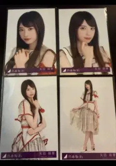 矢田萌華 乃木坂46公式 ビリヤニ 封入 生写真 4種 コンプ