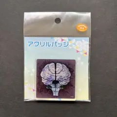チ。－地球の運動について－ eeoくじ E賞 キャラアクリルバッジ ex