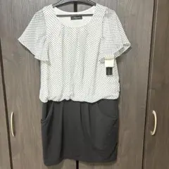 Item thumbnail for item 451897ed-7cf8-4e55-8de2-c0e299acbbc3