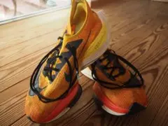 Item thumbnail for item 54304994-3542-413f-985e-c7900199af28