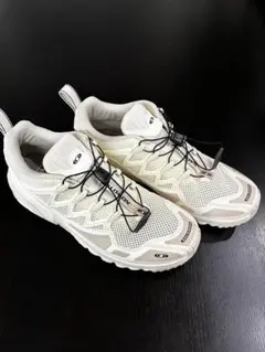 SALOMON ACS + OG / サロモン 27㎝　アイボリーのサムネイル