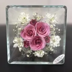 レンデフロール　ブリザードフラワーバラ　ピンク