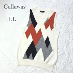 大きいサイズ レディースウェア