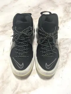 エアズームフライト95(2015)