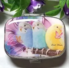 ⚠️フォロワー様感謝SALE⚠️ハンドメイド レジン セキセイインコ ピルケース
