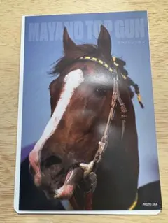 サラブレッドコレクション　ポストカード　マヤノトップガン