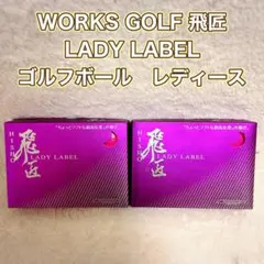 WORKS GOLF 飛匠 LADY LABEL ゴルフ　レディース　24球のサムネイル