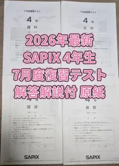 2026年最新】サピックステストの人気アイテム - メルカリ