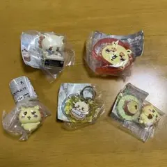 ちいかわ シーサー ライトブレス ダンボールウォッチ2 ならぶんです2 アクキー