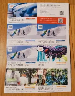 日本駐車場開発 株主優待券(1000株分)1冊