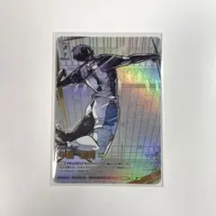 ハイキュー!! バボカ 牛島若利 頂P