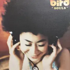 bird SOULS