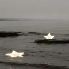 ハチワレさん様専用