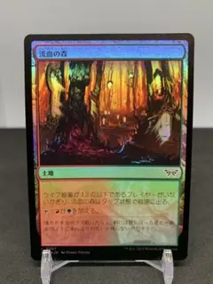 [JP] [Foil] 流血の森
