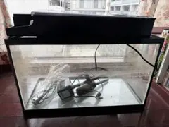 NISSO60サイズ 熱帯魚飼育セット 全面ピラーレス - メルカリ