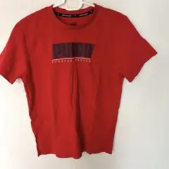 新品 未使用 プーマ 半袖 Tシャツ