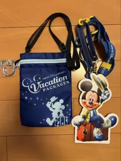 ディズニー　バケーションパッケージ パスケース