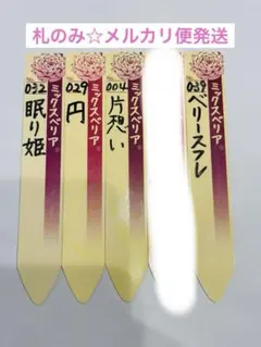 札のみ☆ミックスベリア おらいさん苗 桜子含む5種セット - メルカリ