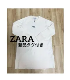 Item thumbnail for item b8a4010e-9f0c-4f96-bab2-de109137f475