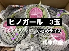 小玉スイカ 兵庫県産ピノガール♪ 小さめ3玉のサムネイル