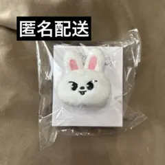 リービット　まとめ売り SKZOO Stray Kids FELIX ぬいぐるみ リービット まとめ - メルカリ