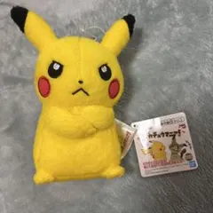 2025年最新】ピカチュウマニア ぬいぐるみの人気アイテム - メルカリ