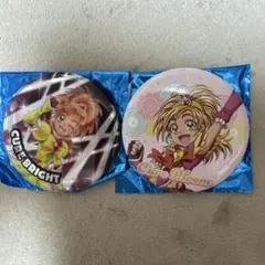 ふたりはプリキュア Splash Star 缶バッジ 2種セット　キュアブルーム