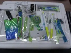 湘南ベルマーレグッズ　キーホルダー　ピンバッジ