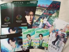 8点★最安値★ネピア リーフレット2枚＆　レグザ　最新カタログ4冊　目黒蓮