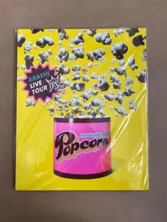 ARASHI LIVE TOUR Popcorn　パンフレット