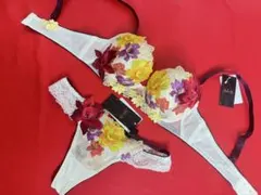 ワコール サルート ライオンキング 30G CR ブラ ソング - メルカリ