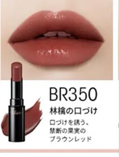 ヴィセ　ネンマクフェイクルージュ　BR350 林檎の口づけ