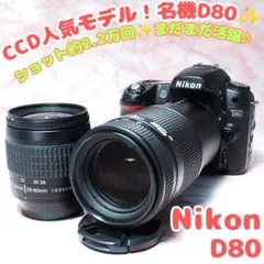 ✨Nikon D80✨ショット少 名機CCD 標準・望遠Wレンズ 人気モデル ✨Nikon D80✨ショット数少 標準 望遠WレンズCCD人気モデル 初心者