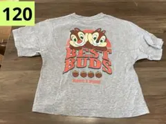 しまむら！120サイズ/チップとデール Tシャツのサムネイル
