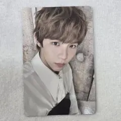 RIIZE シーグリMD 2025 ランダムトレカ ショウタロウ