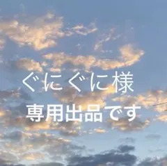 ぐにぐに様専用！ niko and... 1点