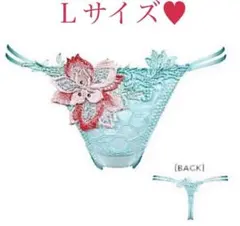 ラスト1枚❣️WACOAL サルート44g❤️サルートソング♥︎Tバック/ Lサイズ