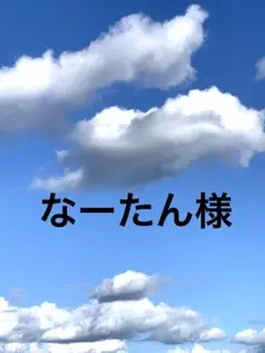 なーたん様　おまとめ