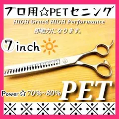 Item thumbnail for item 3e571a63-b191-4a13-b0ad-ae6f499b938d