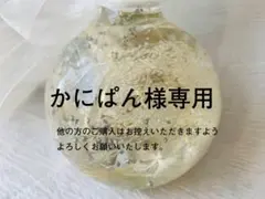 かにぱん様専用 ペーパーシュートカメラ