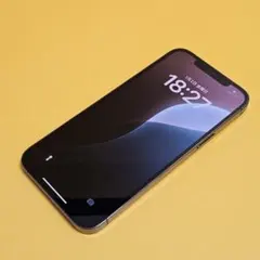 iPhone 12 ProMax 512GB｜24時間以内発送!#168