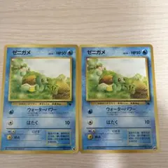 旧裏 ゼニガメ イントロパック