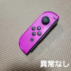 66 Nintendo Switch ジョイコン ネオンパープル