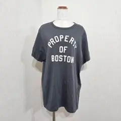 SHIPS 半袖Tシャツ コットン グレー系 シップス ボストン
