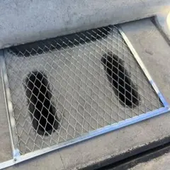 Item thumbnail for item 5f22d828-ee3f-4b93-9489-1cdc3922b0c0