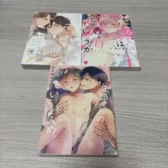 ボーイズラブ BL 田中森よこた先生 3冊セット