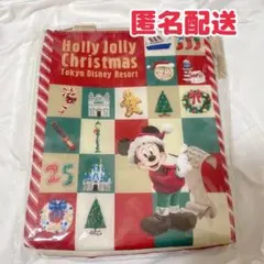 【匿名配送】ディズニークリスマス スーベニアランチケース 2025 ミッキー