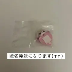 プリキュア 一番くじ Ｅ賞 ちらりんフレンズ ミニフィギュア ルルン