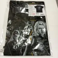 Item thumbnail for item 68e692b4-2705-4bea-9f66-9cd8636b1523